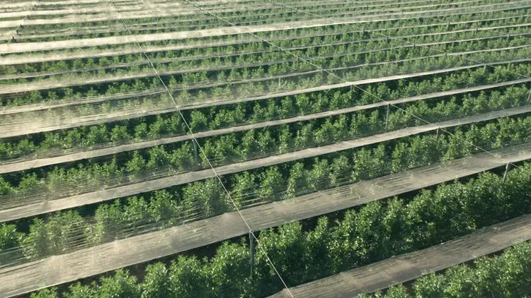 20260210 smart garden shading.png